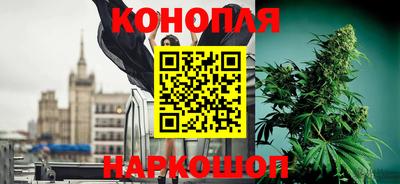трава Бийск