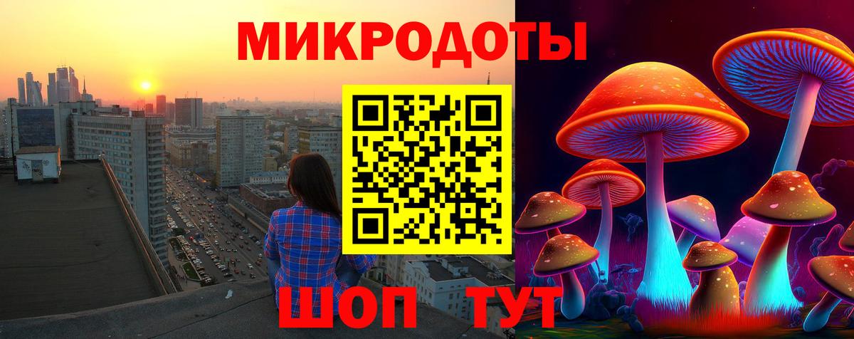 Дзержинск  Псилоцибиновые грибы Psilocybine cubensis  где можно купить наркотик  Вход с VPN 